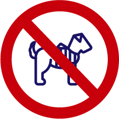 not animal