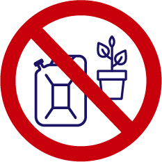 not flower
