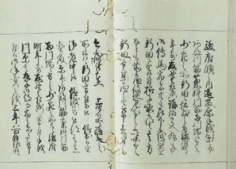 新宮（中村）高平 『駿河志料』 古文書　八十